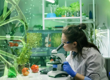 Bất động sản Bất động sản