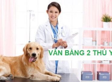 Bất động sản Bất động sản