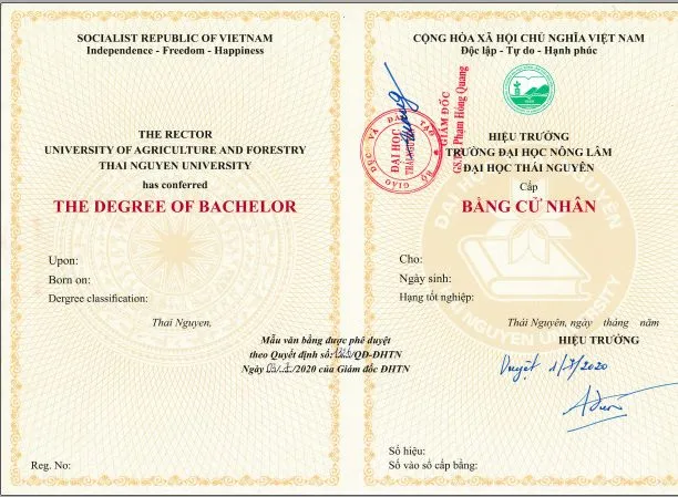 VĂN BẰNG & TỐT NGHIỆP