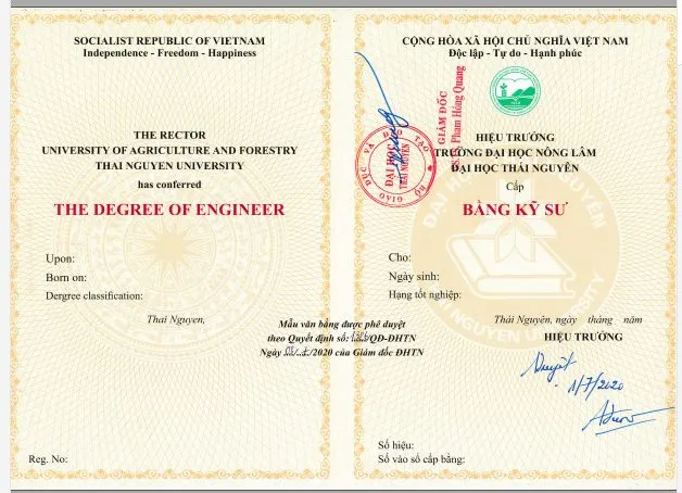 BẰNG CẤP & TỐT NGHIỆP