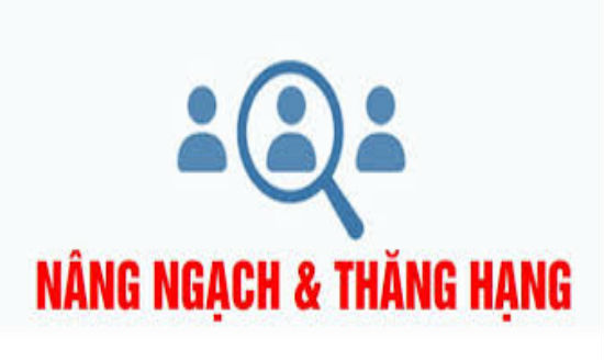 chuyển ngạch viên chức từ cao đẳng lên đại học