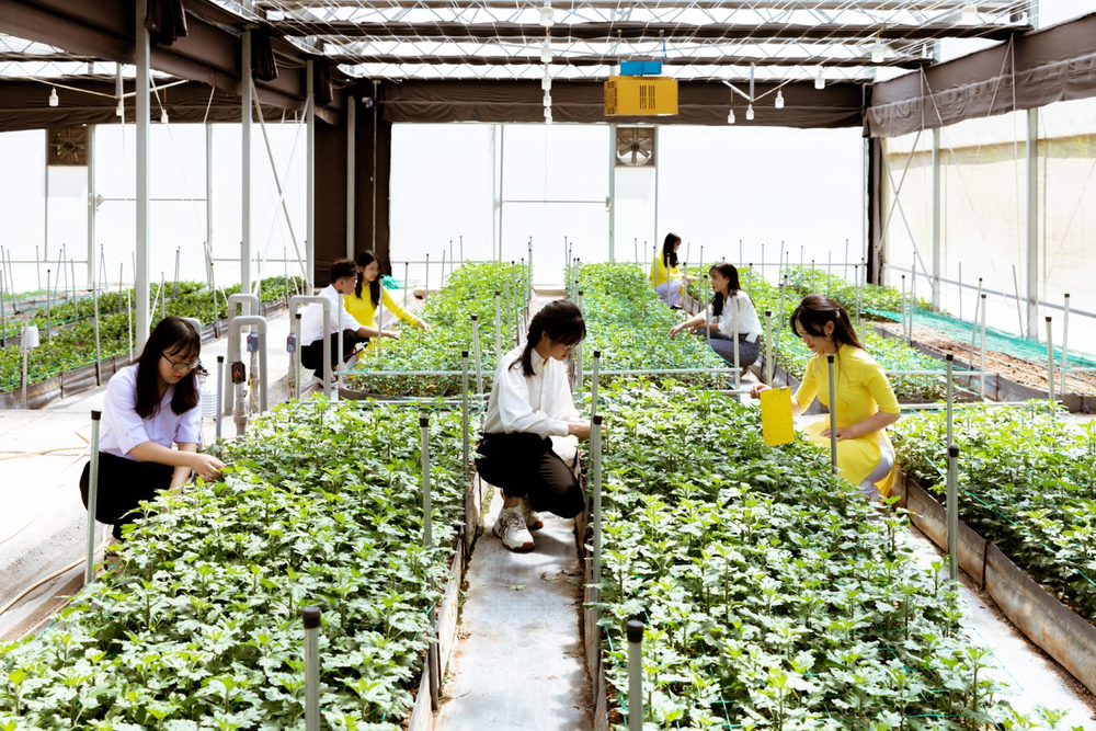 Có nên học đại học từ xa ngành Nông nghiệp?