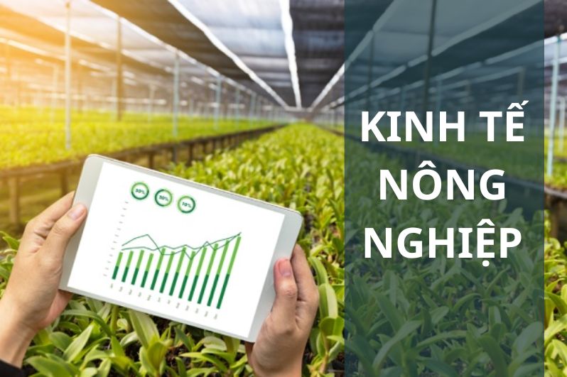 Đại học từ xa ngành kinh tế nông nghiệp