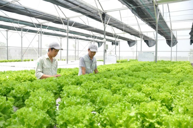 Học đại học từ xa ngành Nông nghiệp