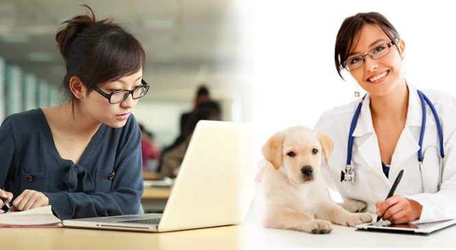 Liên Thông Đại Học Thú Y