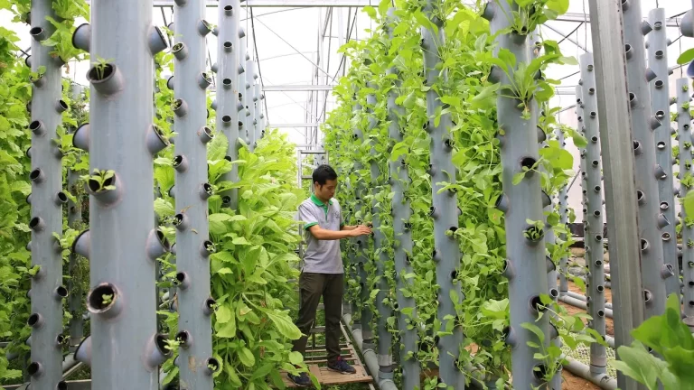 Những ai nên học đại học từ xa ngành kinh tế nông nghiệp?