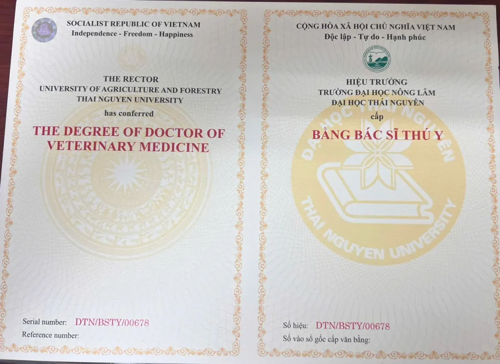 VĂN BẰNG & TỐT NGHIỆP