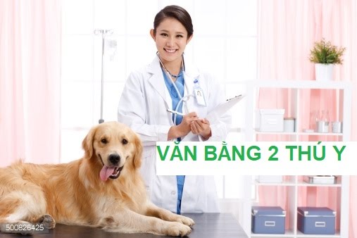 Văn Bằng 2 Thú Y